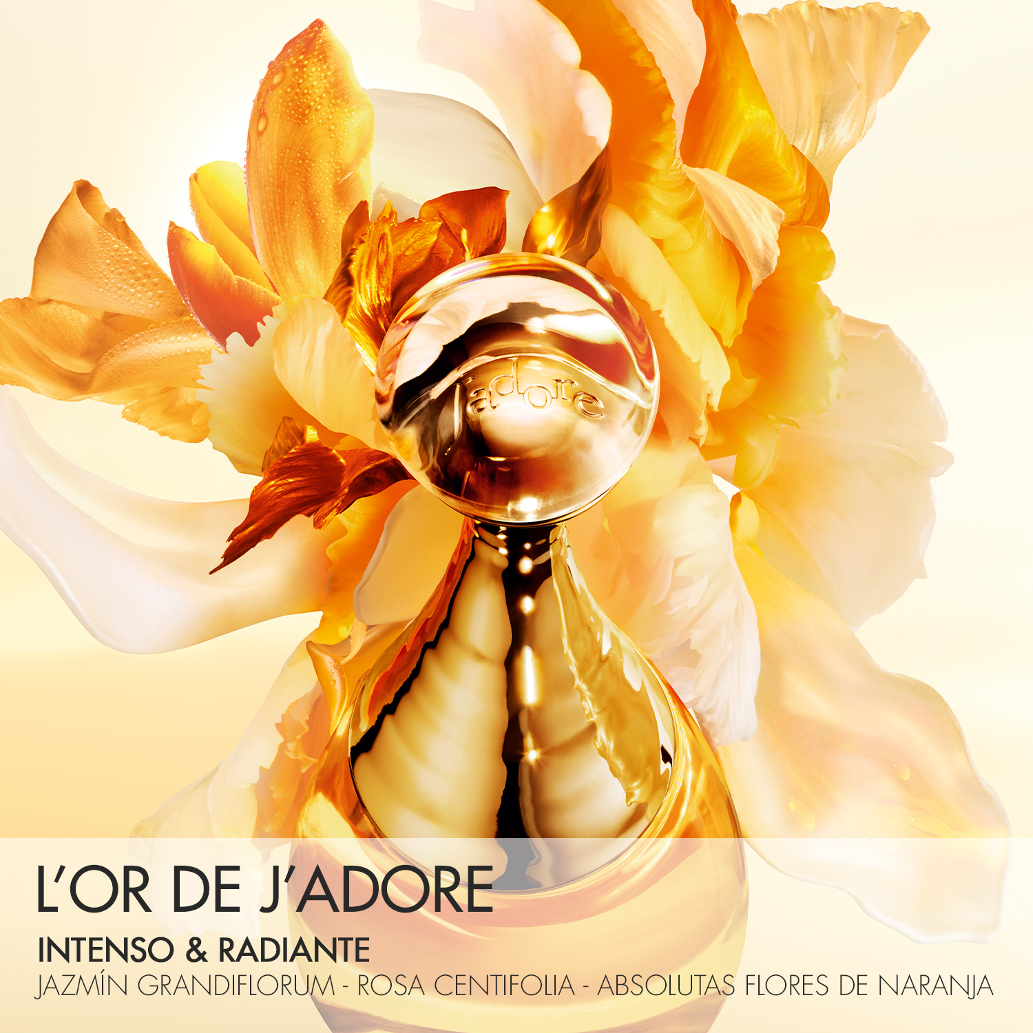 J'ADORE L'OR  PERFUME PARA MUJER DIOR